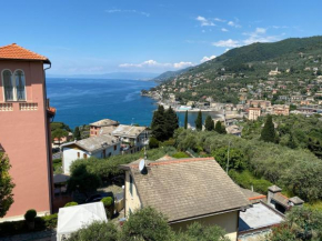 LIGURIA HOLIDAYS - 